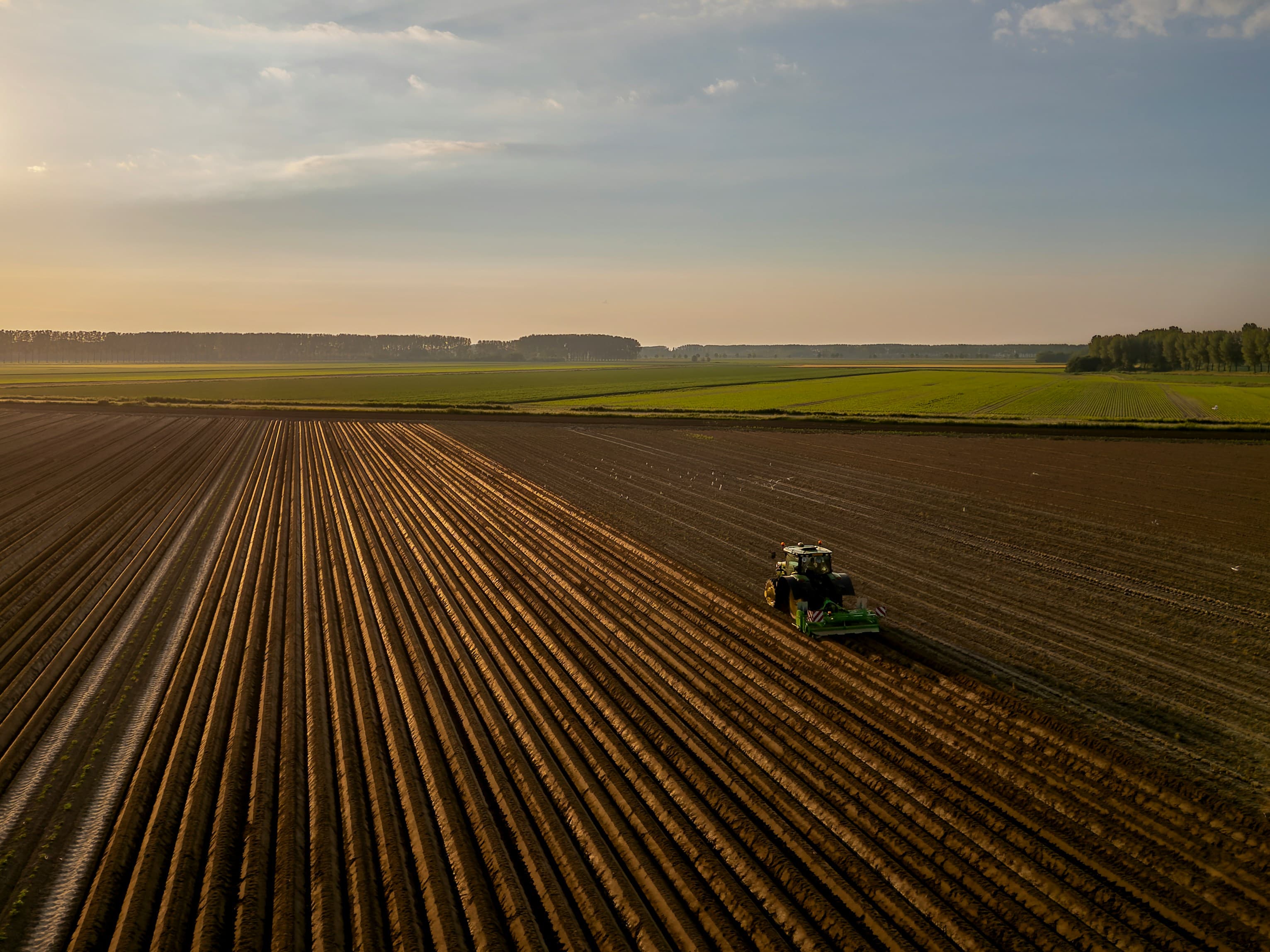 A tractor planting rows across a wide field at sunset